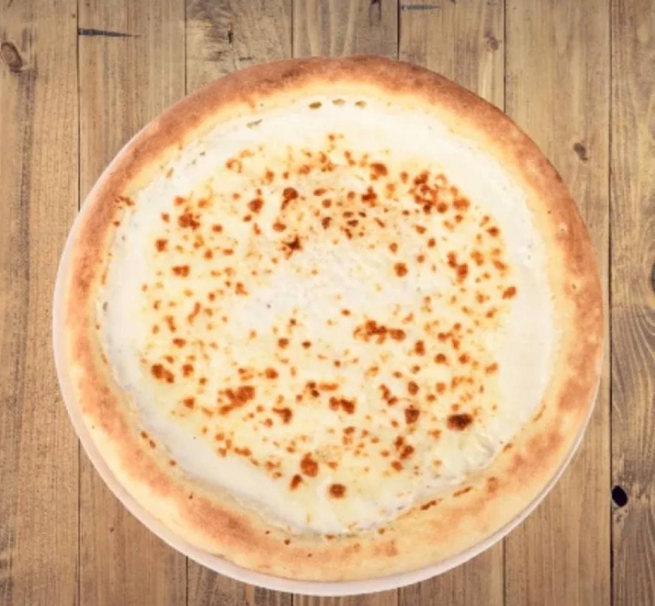 بيتزا جبنة سادة